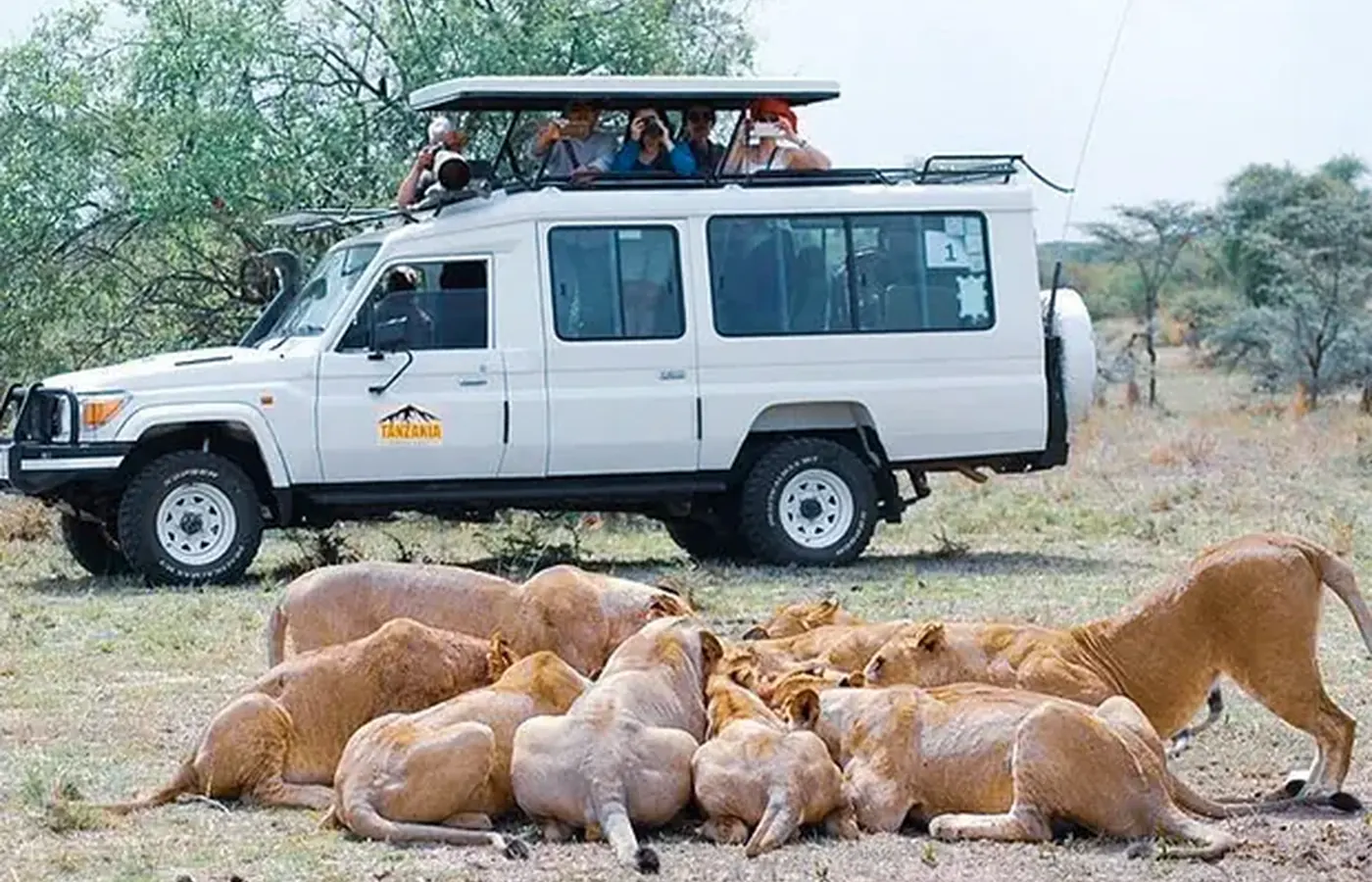 4-Day Premier Private Safari Masai Mara Amboseli and Lake Nakuru Safari From Moshi image 1