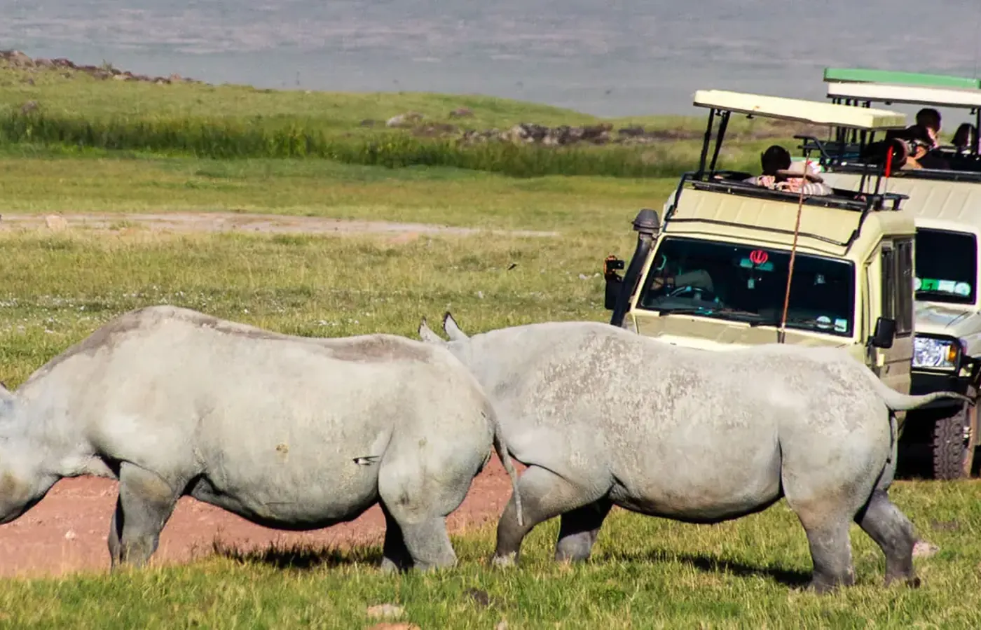 8-Day Discover Photography Southern Tanzania Ruaha and Nyerere Safari From Kigali image 1