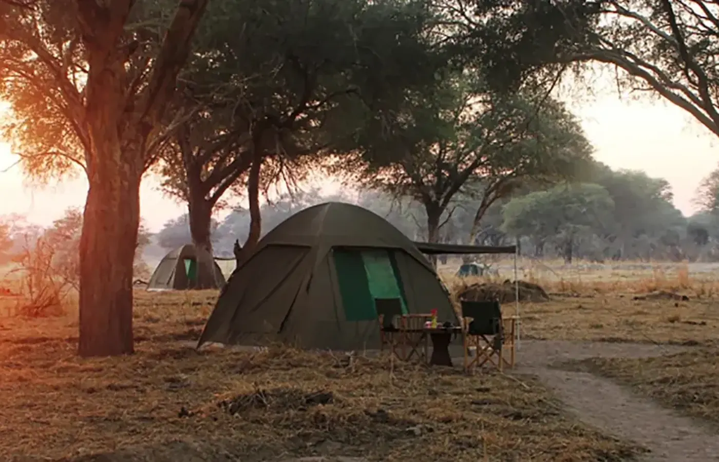7-Day Great Fly-In Ndutu Calving Season Safari From Kilimanjaro International Airport image 1