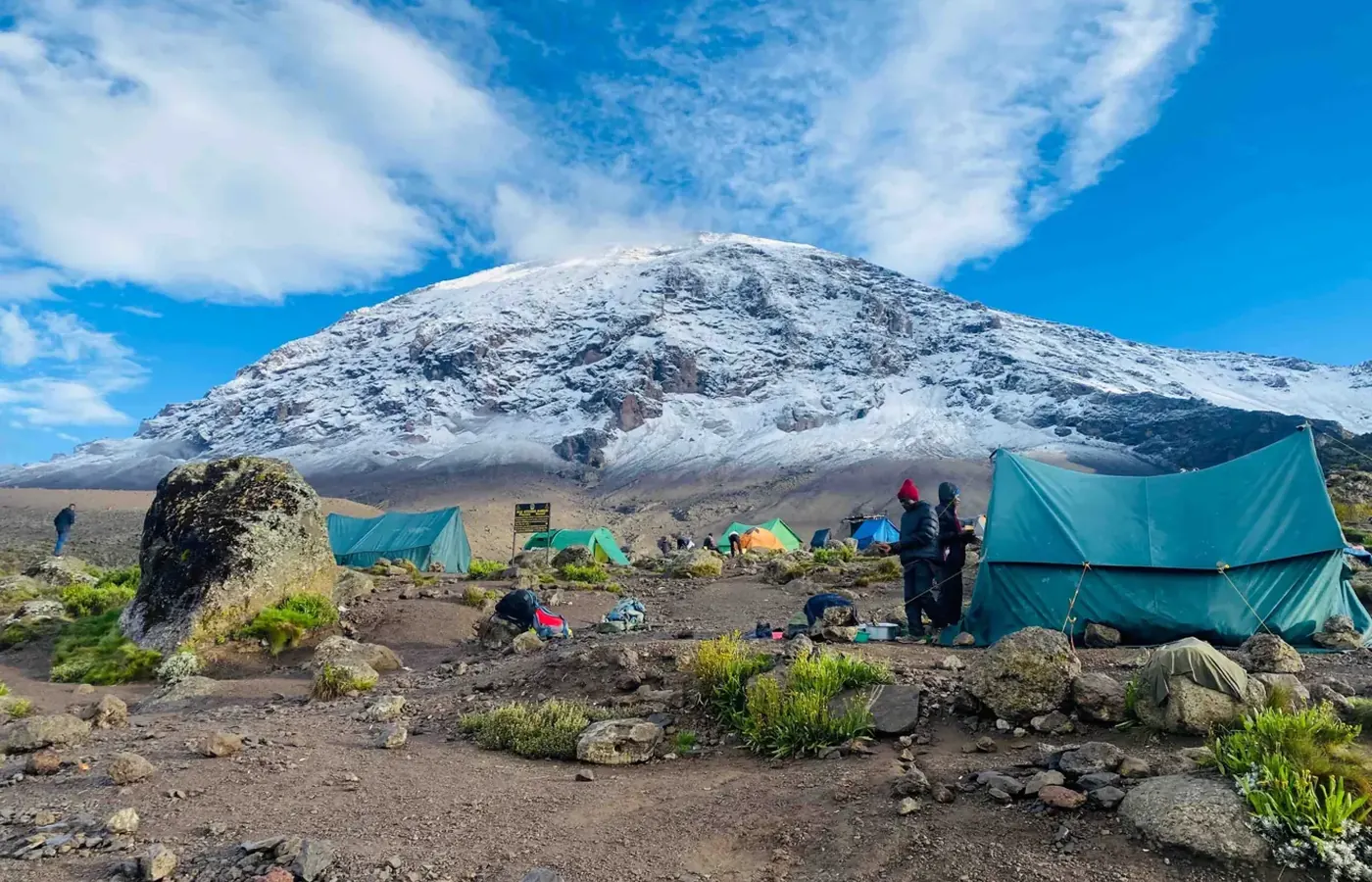 7-Day Ultimate Honeymoon Rwanda Uganda Gorilla and Wildlife Journey From Moshi image 1