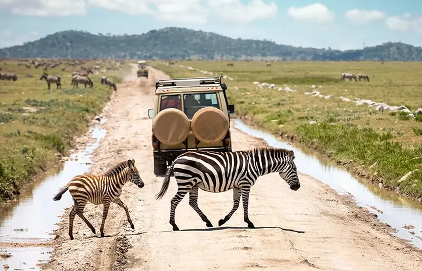 7-Day Premier Budget Friendly Western Tanzania Chimpanzee and Wilderness Safari From Kilimanjaro International Airport image 1