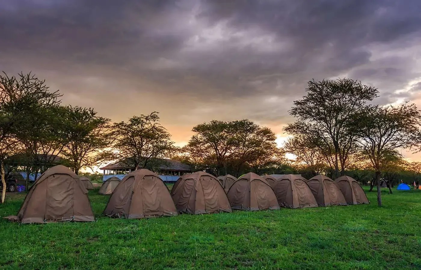 7-Day Premier Luxury Lodge Rwanda Uganda Gorilla and Wildlife Journey with Flexible Start image 1