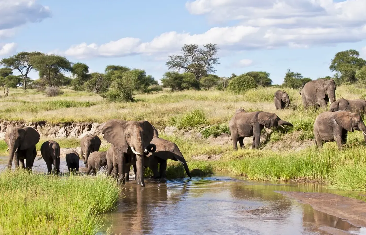 Tanzania safari planning